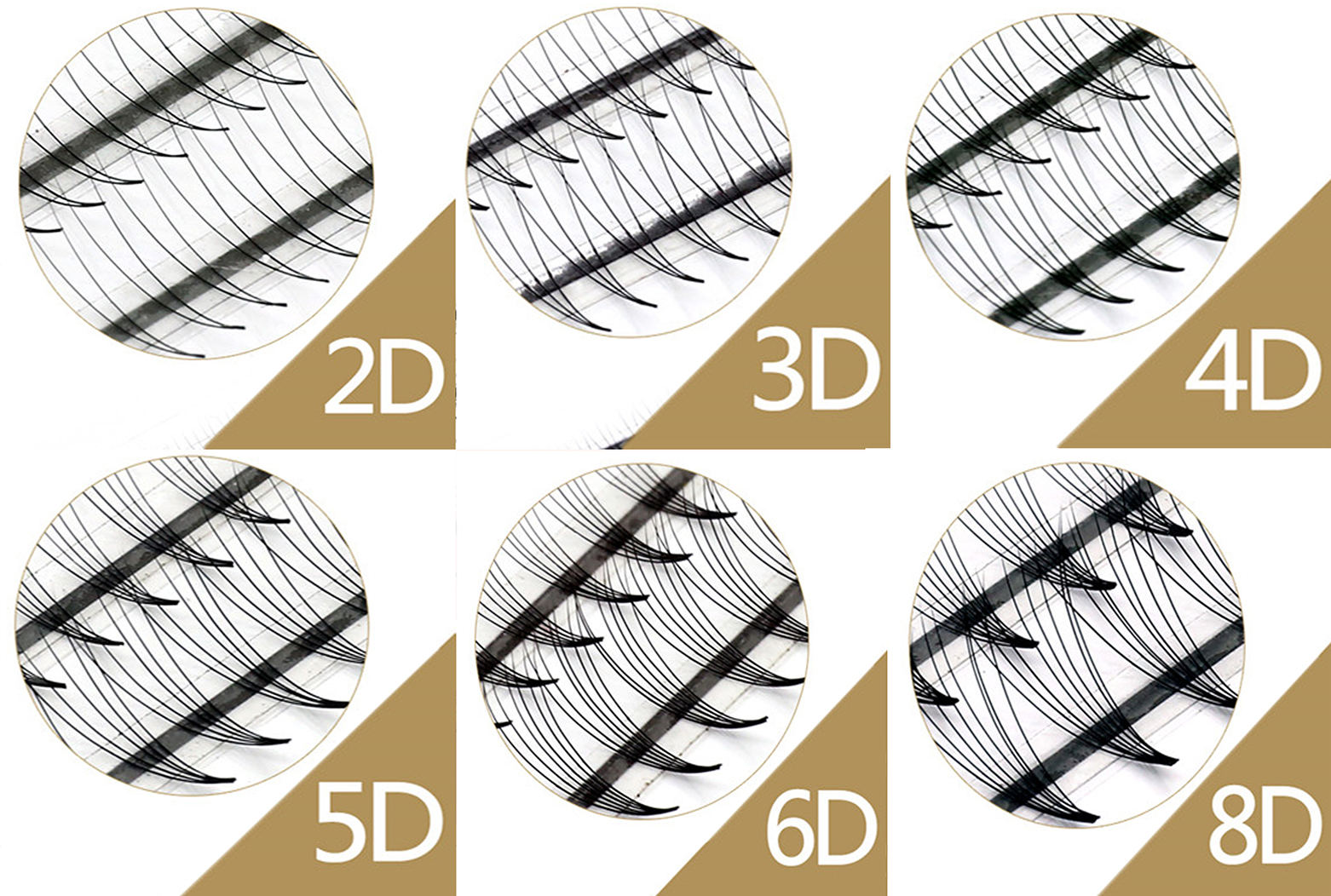 Pre-made fan, volume, cluster 2D,3D,4D,5D,6D,8D-2.jpg
